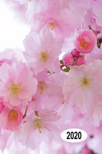 Low Vision 2020 Daily Planner