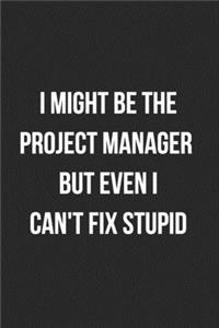 I Might Be The Project Manager But Even I Can't Fix Stupid