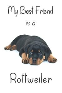 My best Friend is a Rottweiler