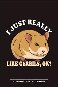 I Just Really Like Gerbils, Ok? Composition Notebook