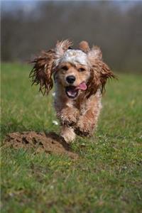 Cute American Cocker Spaniel Running Journal