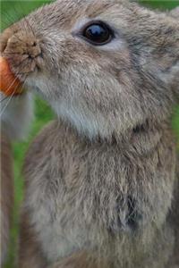 Rabbits Notebook