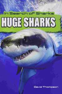 In Search of Sharks