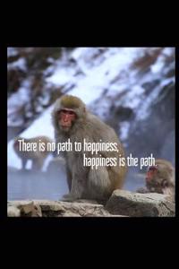 There Is No Path to Happiness, Happiness Is the Path