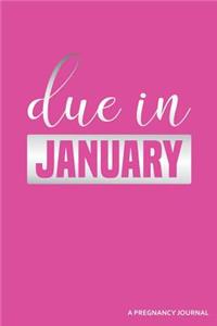 Due in January a Pregnancy Journal