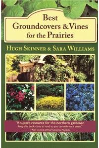 Best Groundcovers and Vines for the Prairies