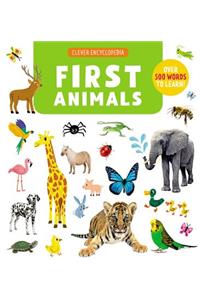 First Animals