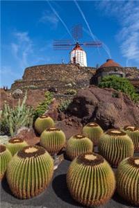 Cactus Plants and a Windmill Journal