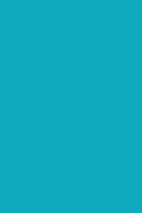 Robin's Egg Blue 190 - Dotted/Bullet Notebook
