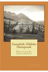 Zuzenbide Zibileko Hastapenak