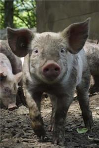 Say Hello to My Little Pig Journal