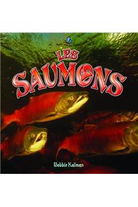 Les Saumons