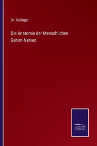 Die Anatomie der Menschlichen Gehirn-Nerven