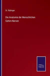 Anatomie der Menschlichen Gehirn-Nerven