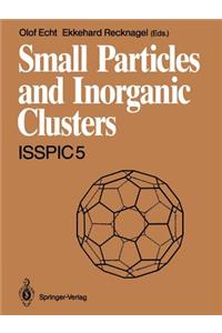 Small Particles and Inorganic Clusters