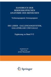 Verdauungsapparat Atmungsapparat