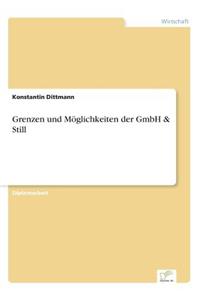 Grenzen und Möglichkeiten der GmbH & Still