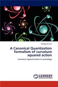 Canonical Quantization formalism of curvature squared action