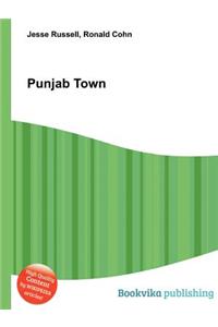 Punjab Town