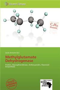 Methylglutamate Dehydrogenase