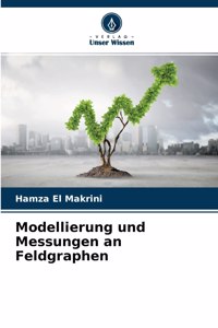 Modellierung und Messungen an Feldgraphen