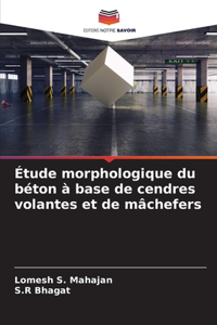 Étude morphologique du béton à base de cendres volantes et de mâchefers