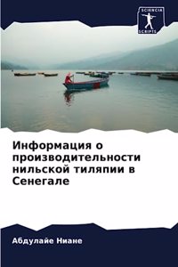 Информация о производительности нильско&