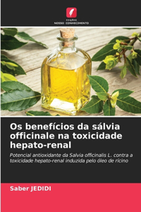 Os benefícios da sálvia officinale na toxicidade hepato-renal