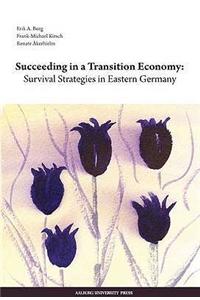 Succeeding in a Transition Economy