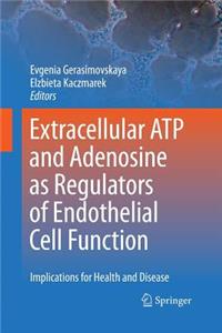 Extracellular Atp and Adenosine as Regulators of Endothelial Cell Function