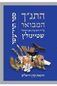 Hatanakh Hamevoar with Commentary by Adin Steinsaltz