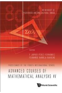 Advanced Courses of Mathematical Analysis IV