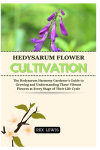 Hedysarum Flower Cultivation
