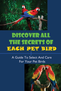 Discover All The Secrets Of Each Pet Bird