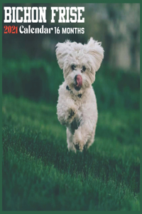 Bichon Frise 2021 Calendar
