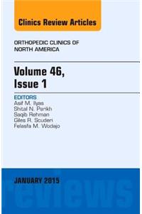 Volume 46, Issue 1, an Issue of Orthopedic Clinics