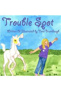 Trouble Spot