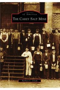 The Carey Salt Mine