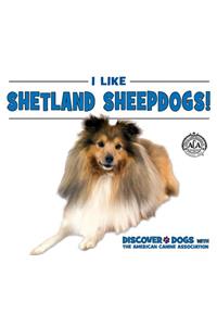 I Like Shetland Sheepdogs!