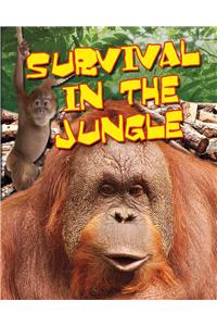 Survival in the Jungle