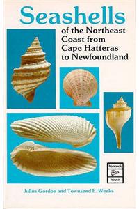 Seashells of the Northeast Coast from Cape Hatters to Newfoundland