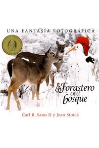 Forastero En El Bosque