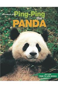 Ping-Ping the Panda