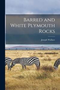 Barred and White Plymouth Rocks