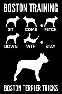 Boston Training - Boston Terrier Tricks