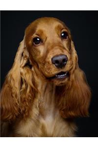 Cocker Spaniel Notebook