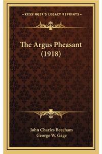 The Argus Pheasant (1918)