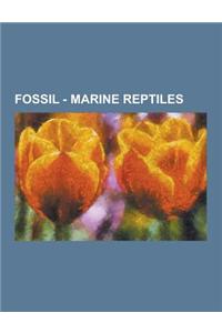Fossil - Marine Reptiles