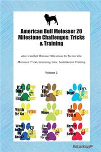 American Bull Molosser 20 Milestone Challenges