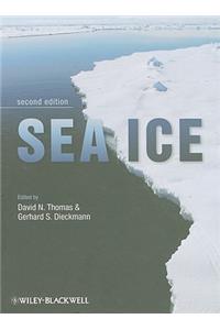 Sea Ice